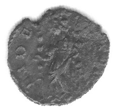Coin reverse image