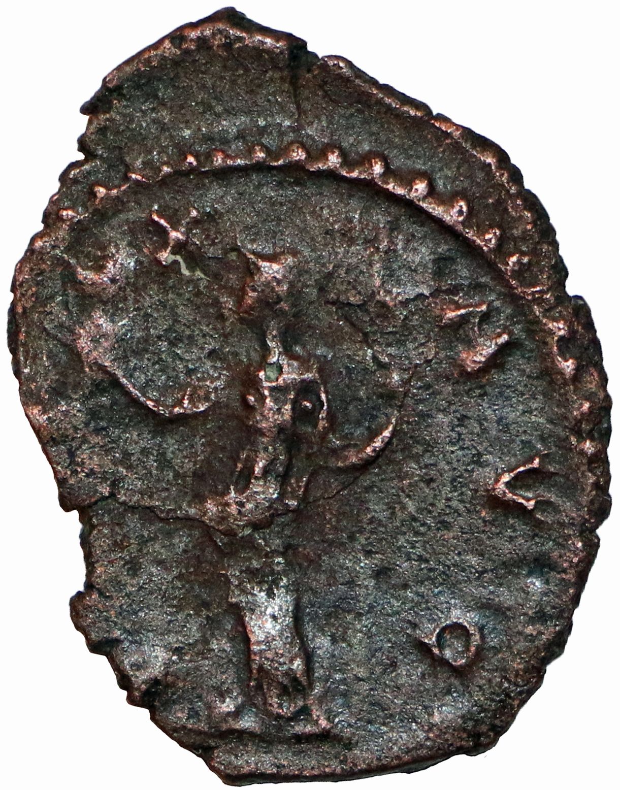 Coin reverse image