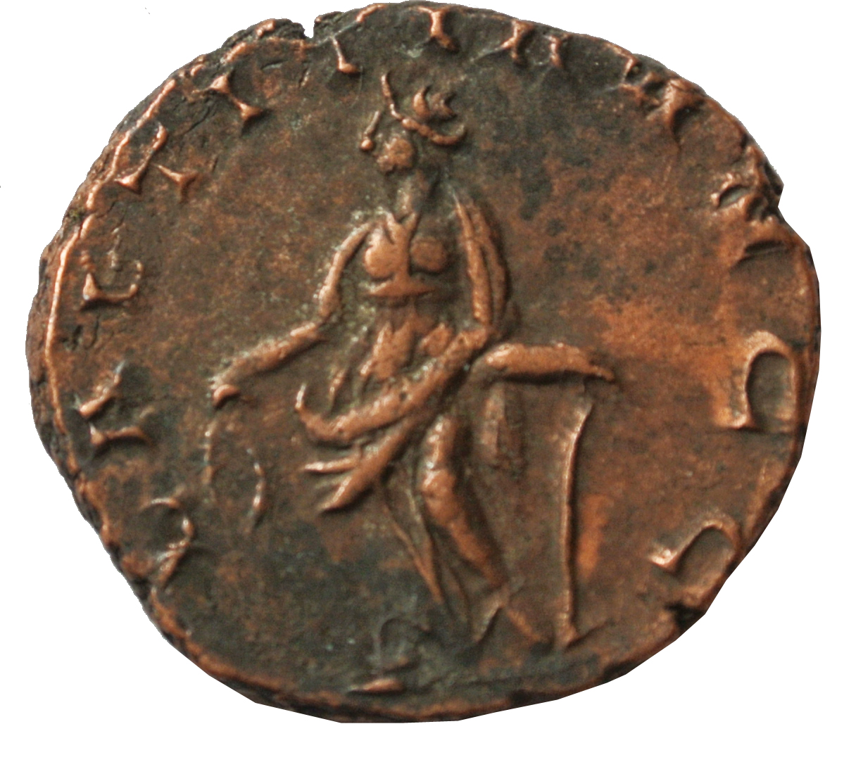 Coin reverse image