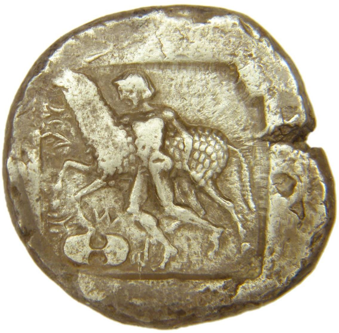 Coin reverse image