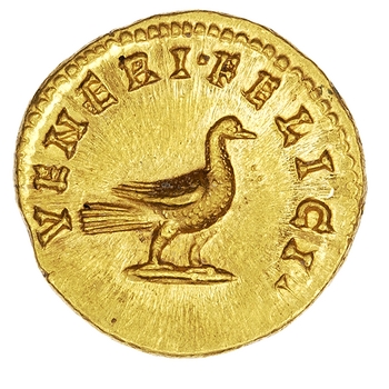 Coin reverse image