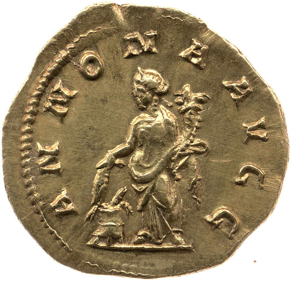 Coin reverse image