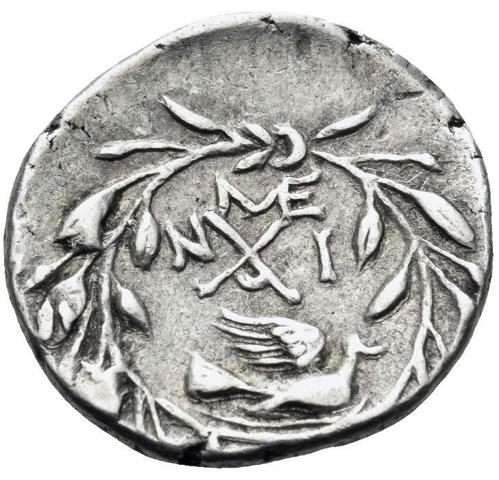 Coin reverse image