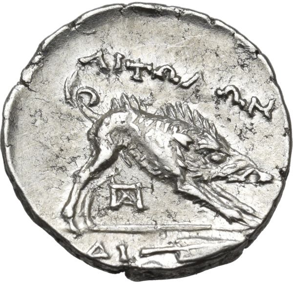 Coin reverse image