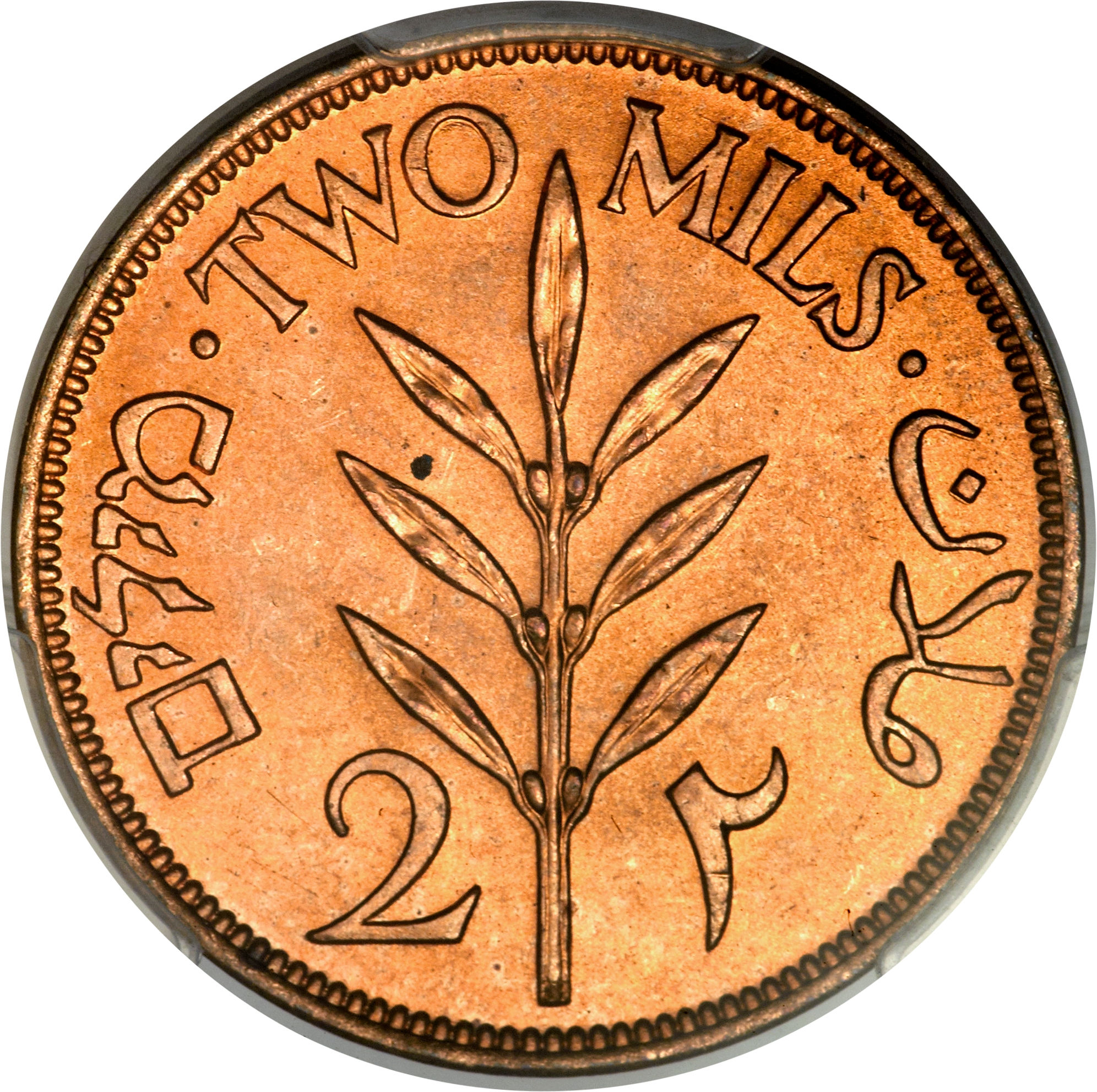 Coin reverse image
