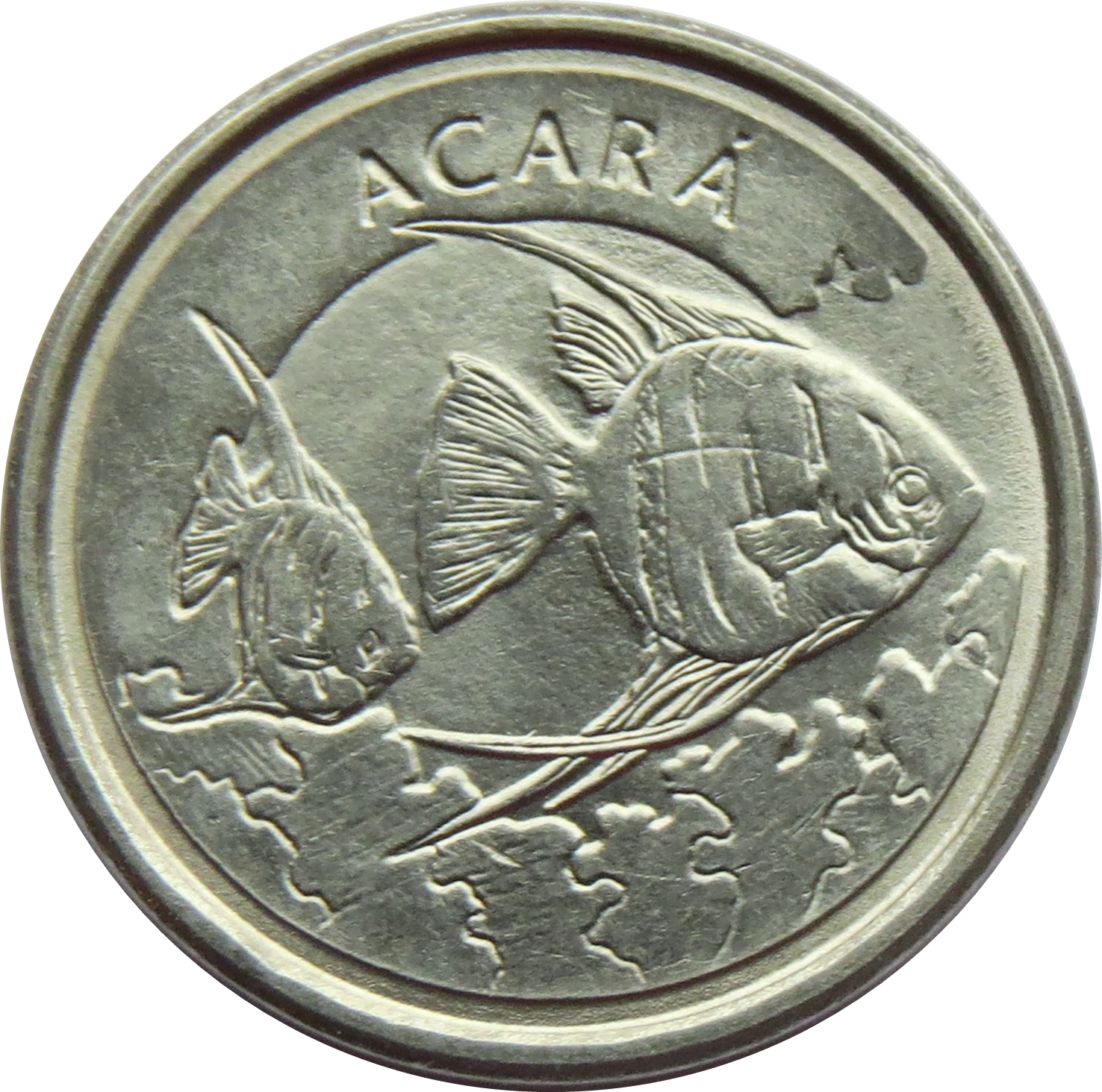 Coin reverse image