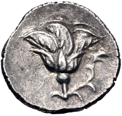 Coin reverse image