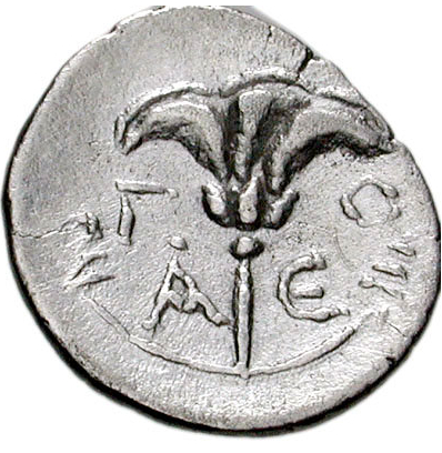 Coin reverse image