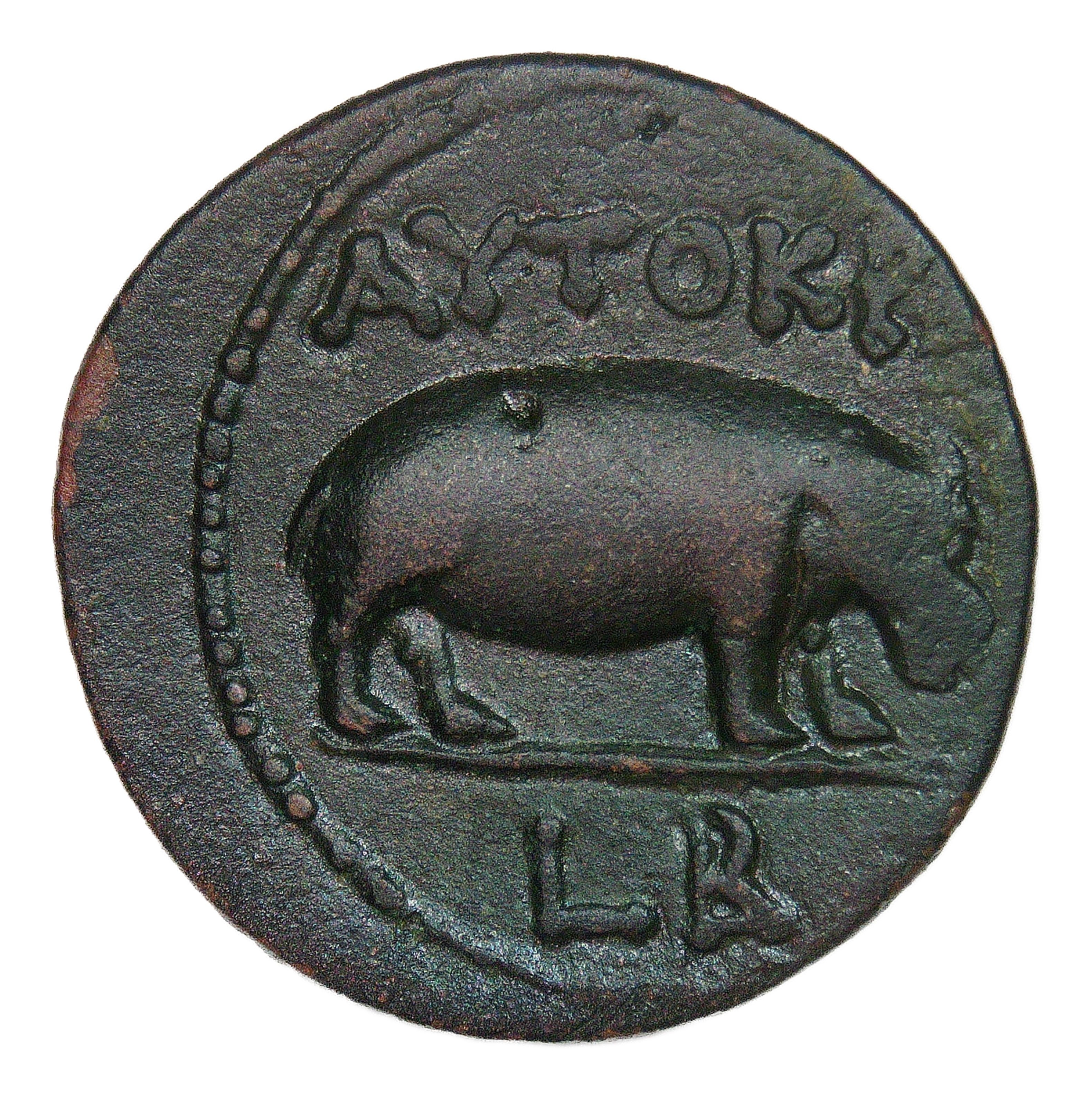 Coin reverse image