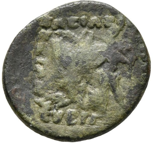 Coin reverse image