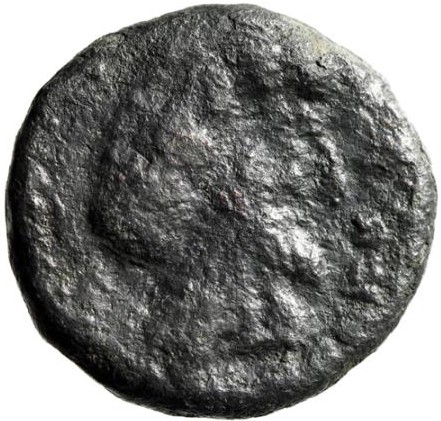 Coin reverse image