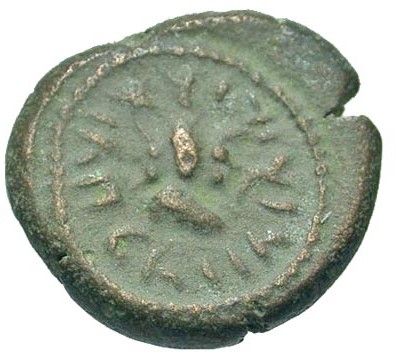 Coin reverse image