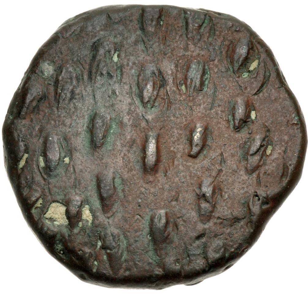 Coin reverse image