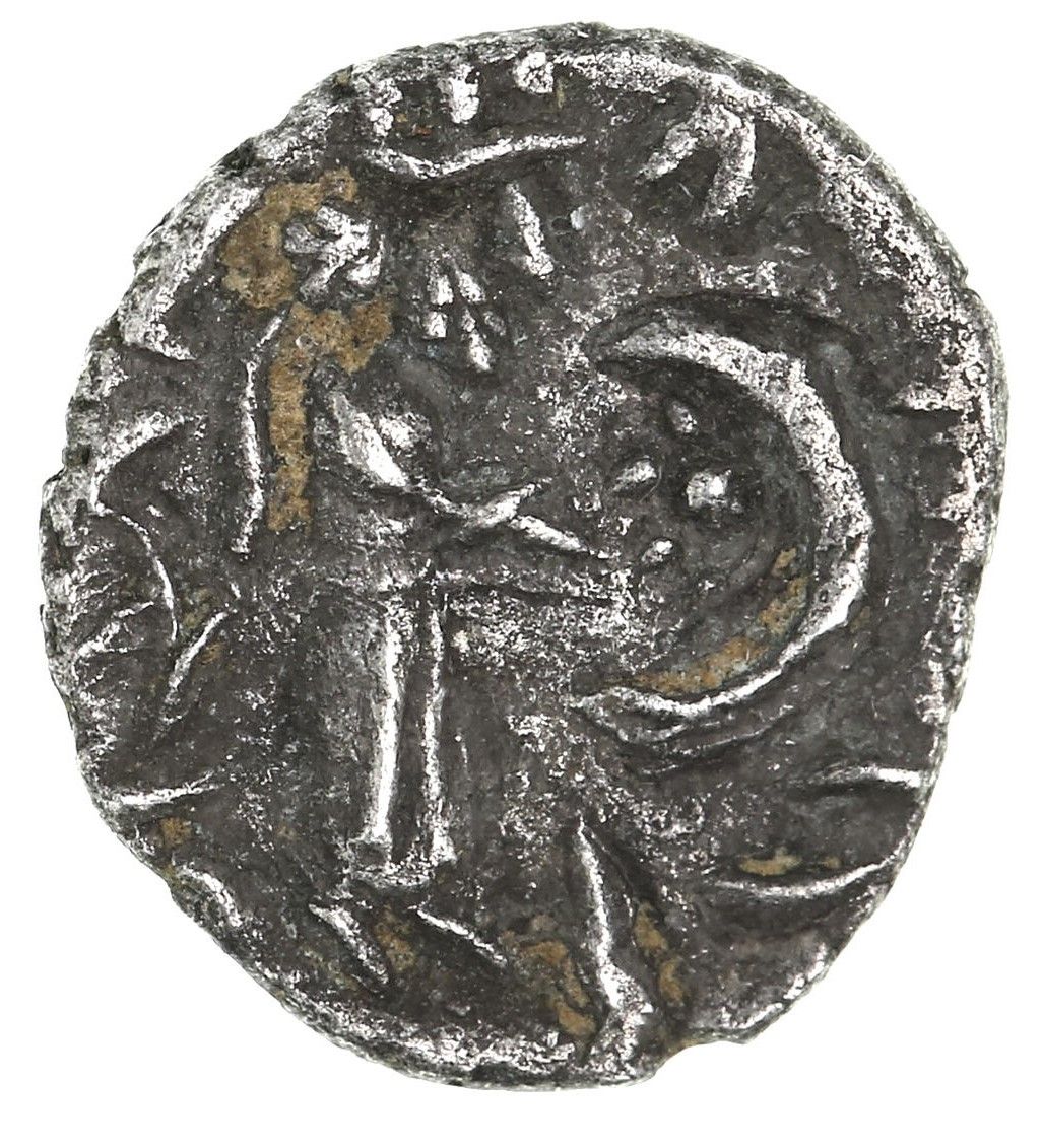Coin reverse image