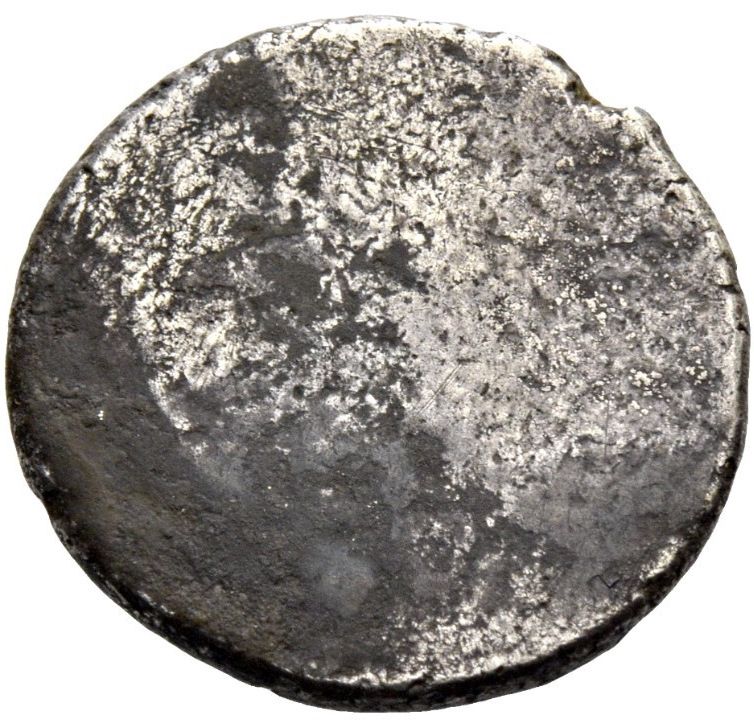 Coin reverse image