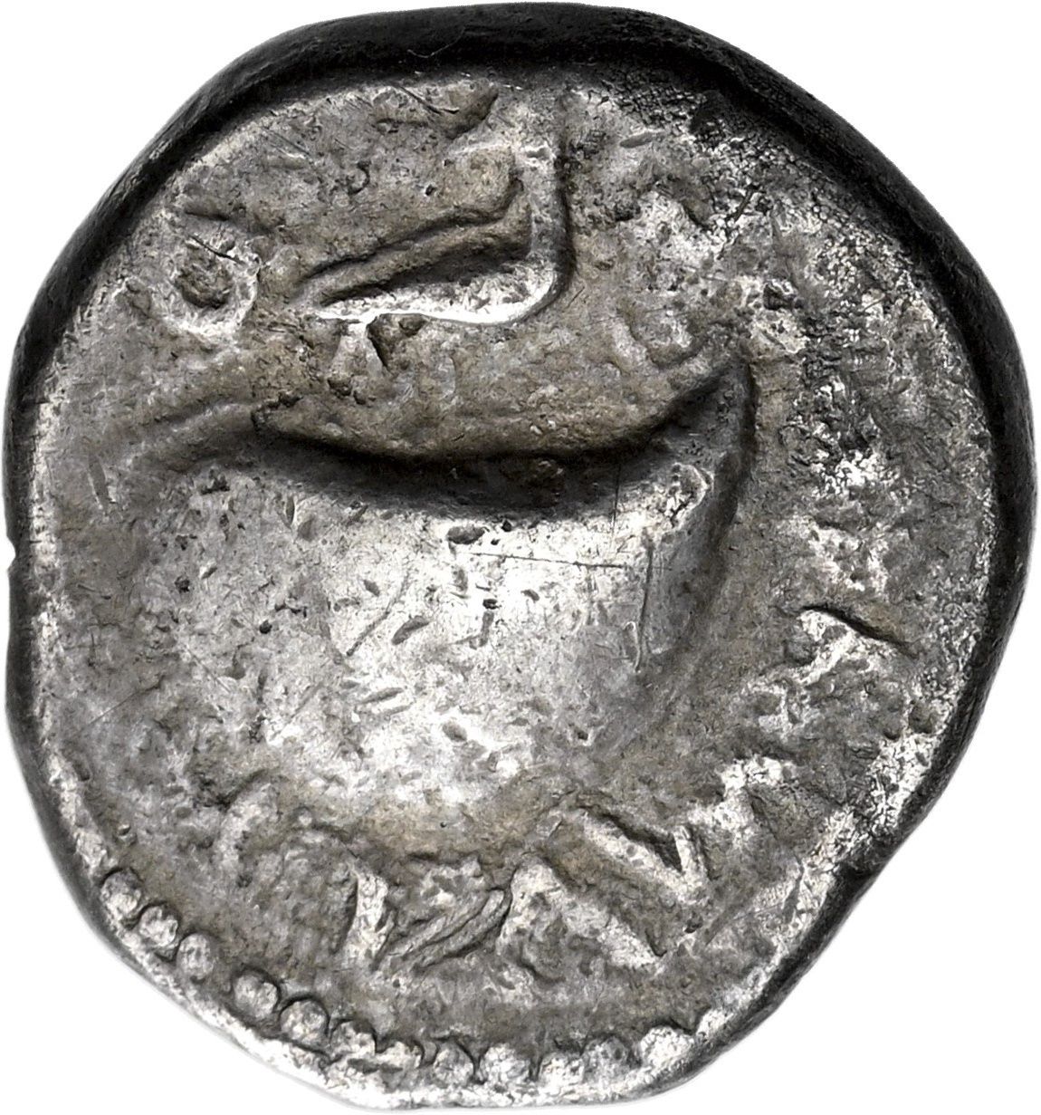 Coin reverse image