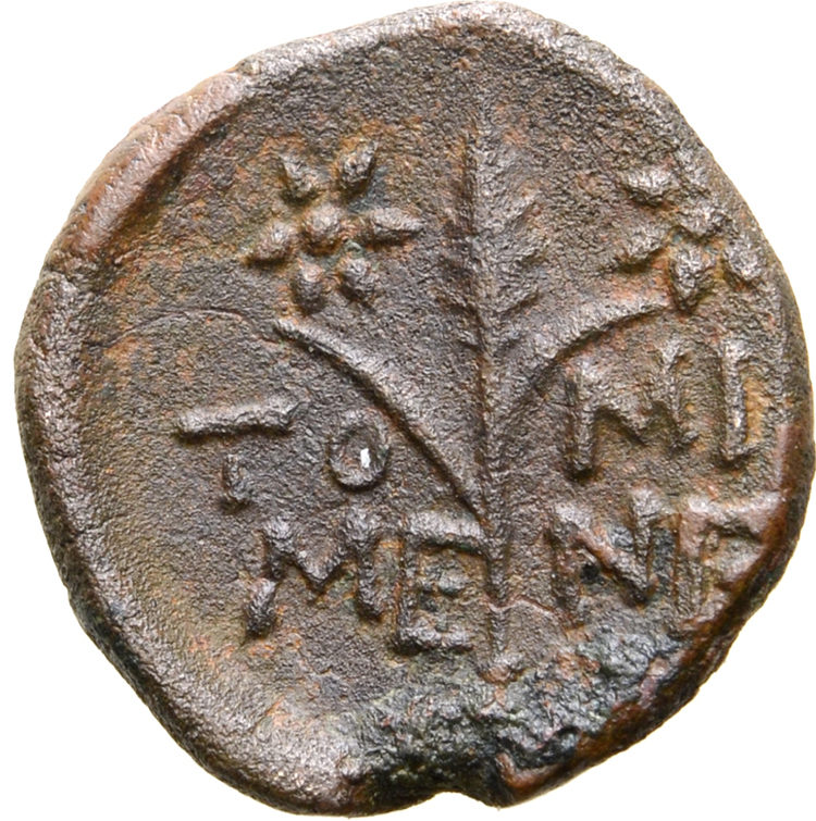 Coin reverse image