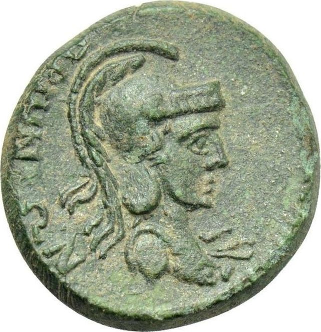 Coin reverse image