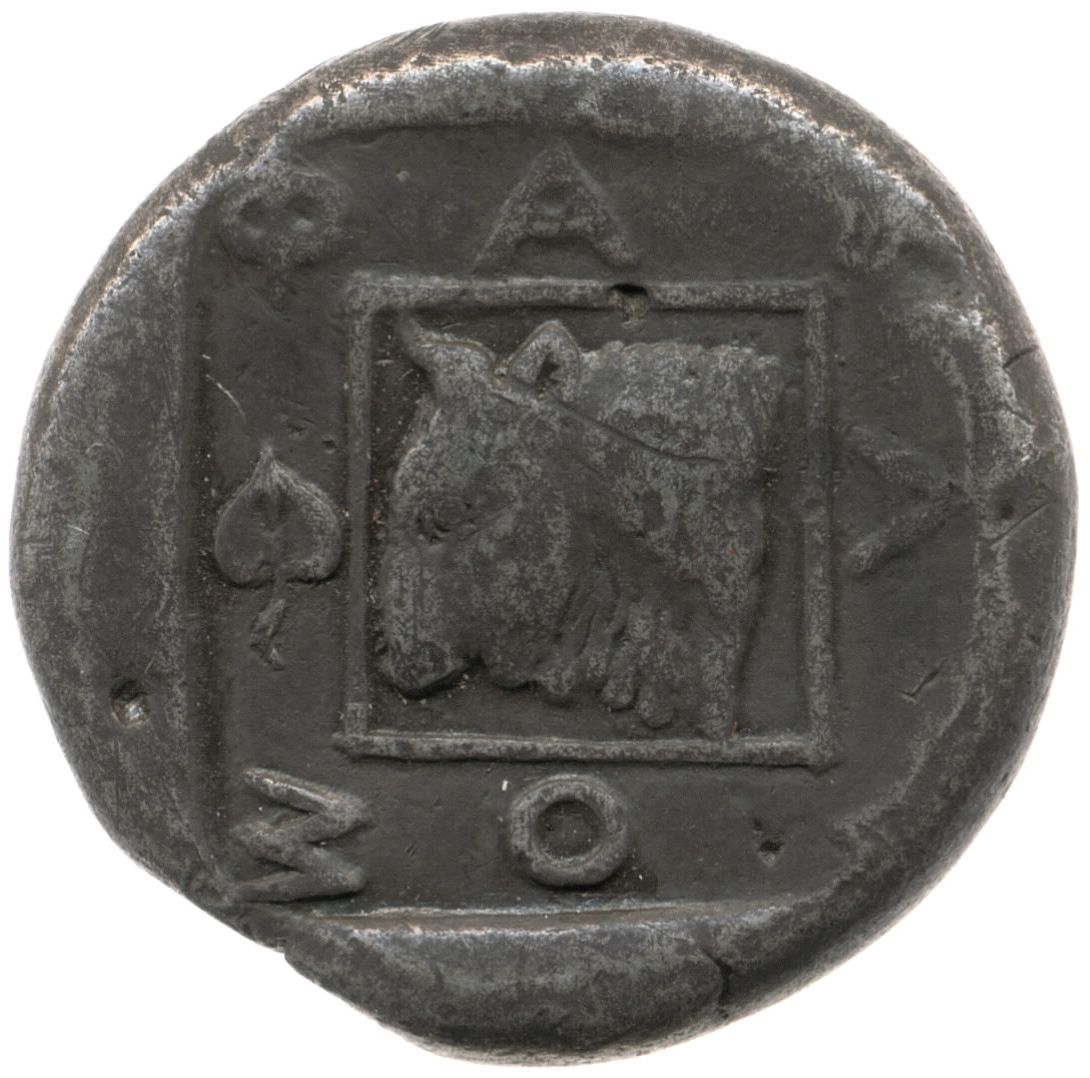 Coin reverse image