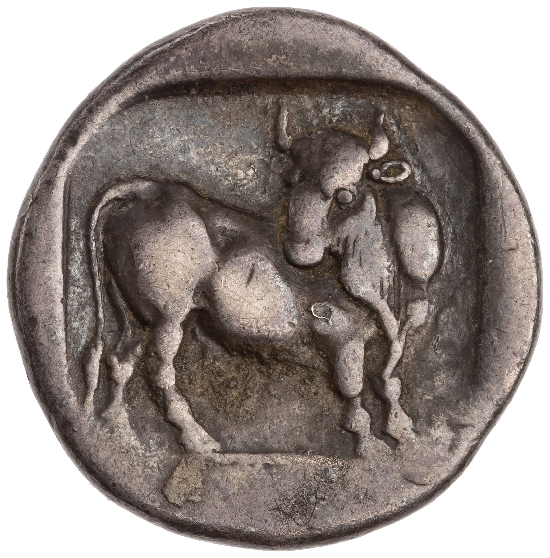 Coin reverse image