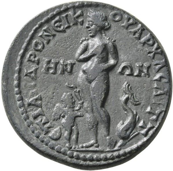 Coin reverse image