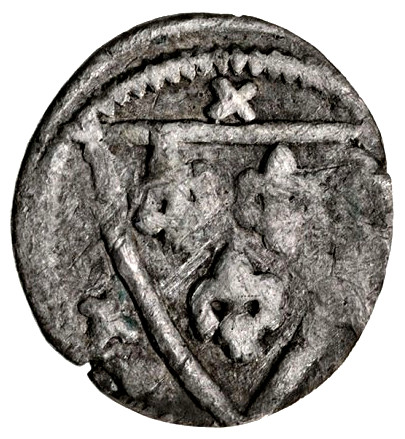 Coin reverse image