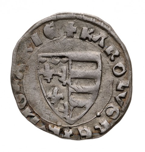 Coin reverse image