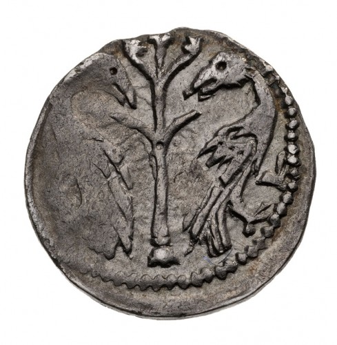 Coin reverse image