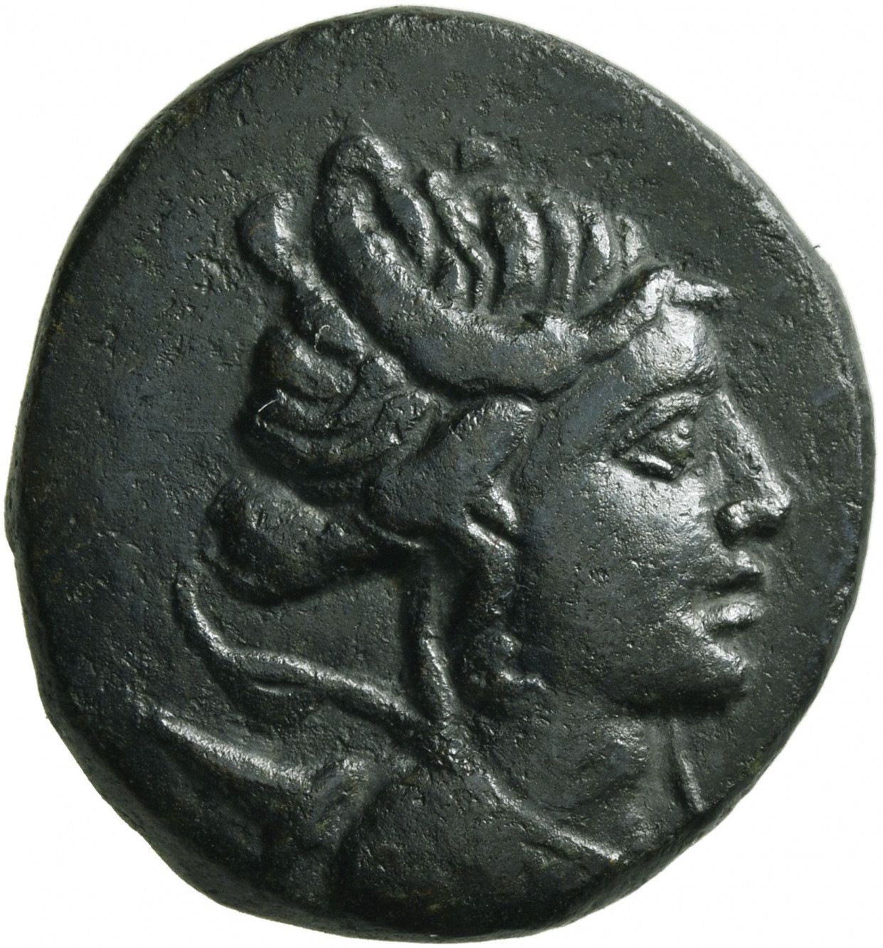 Coin obverse image