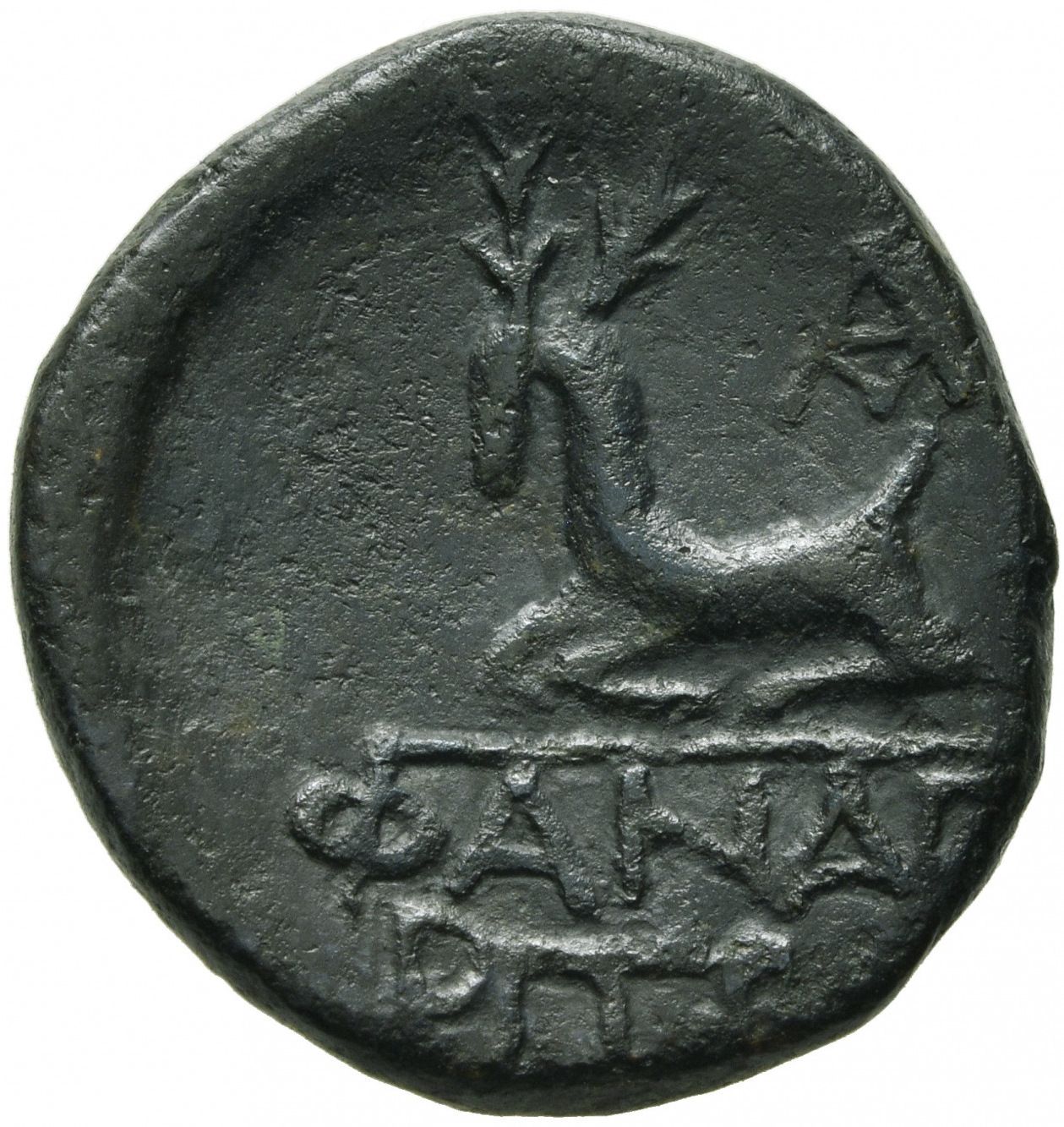 Coin reverse image