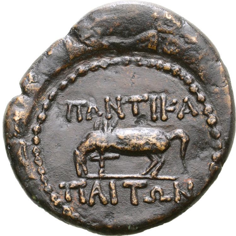 Coin reverse image