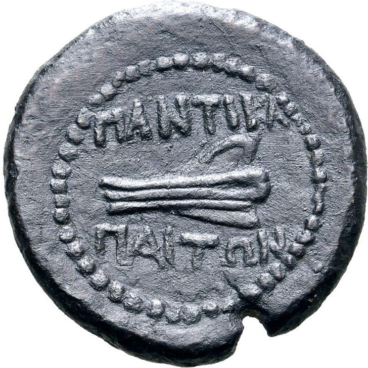 Coin reverse image