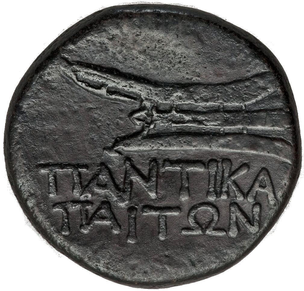 Coin reverse image