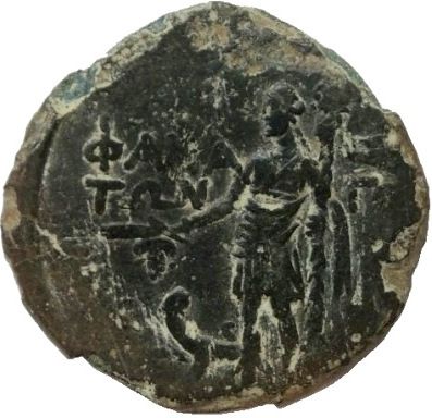 Coin reverse image