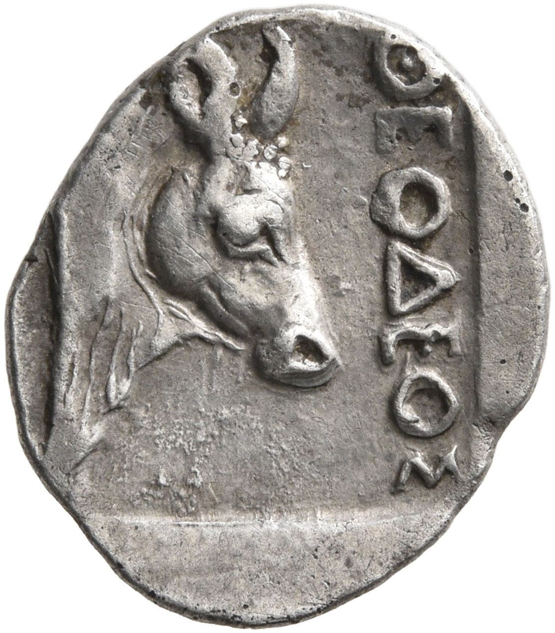 Coin reverse image