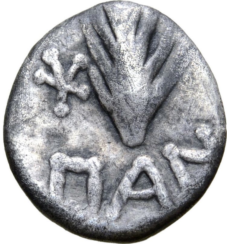 Coin reverse image