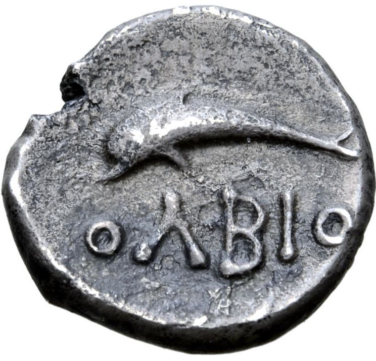 Coin reverse image