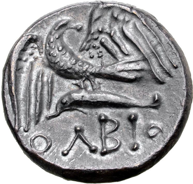 Coin reverse image