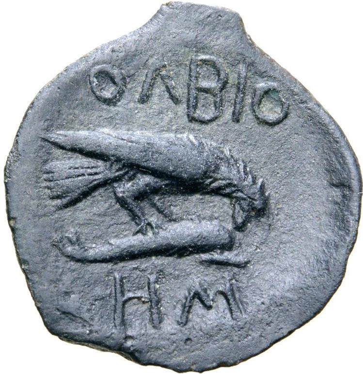 Coin reverse image