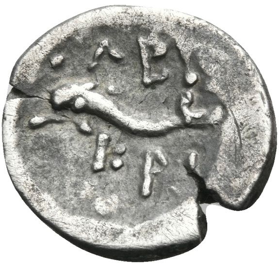 Coin reverse image
