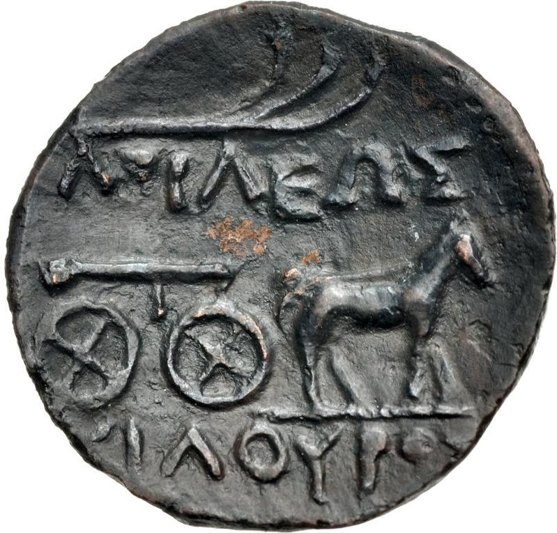 Coin reverse image