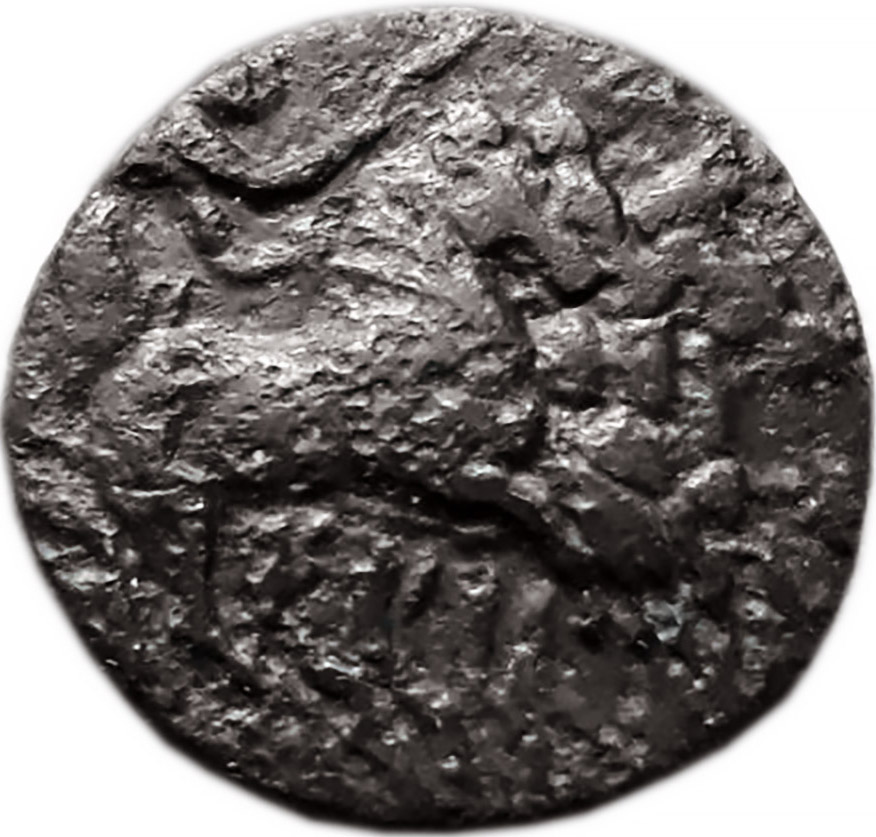 Coin obverse image