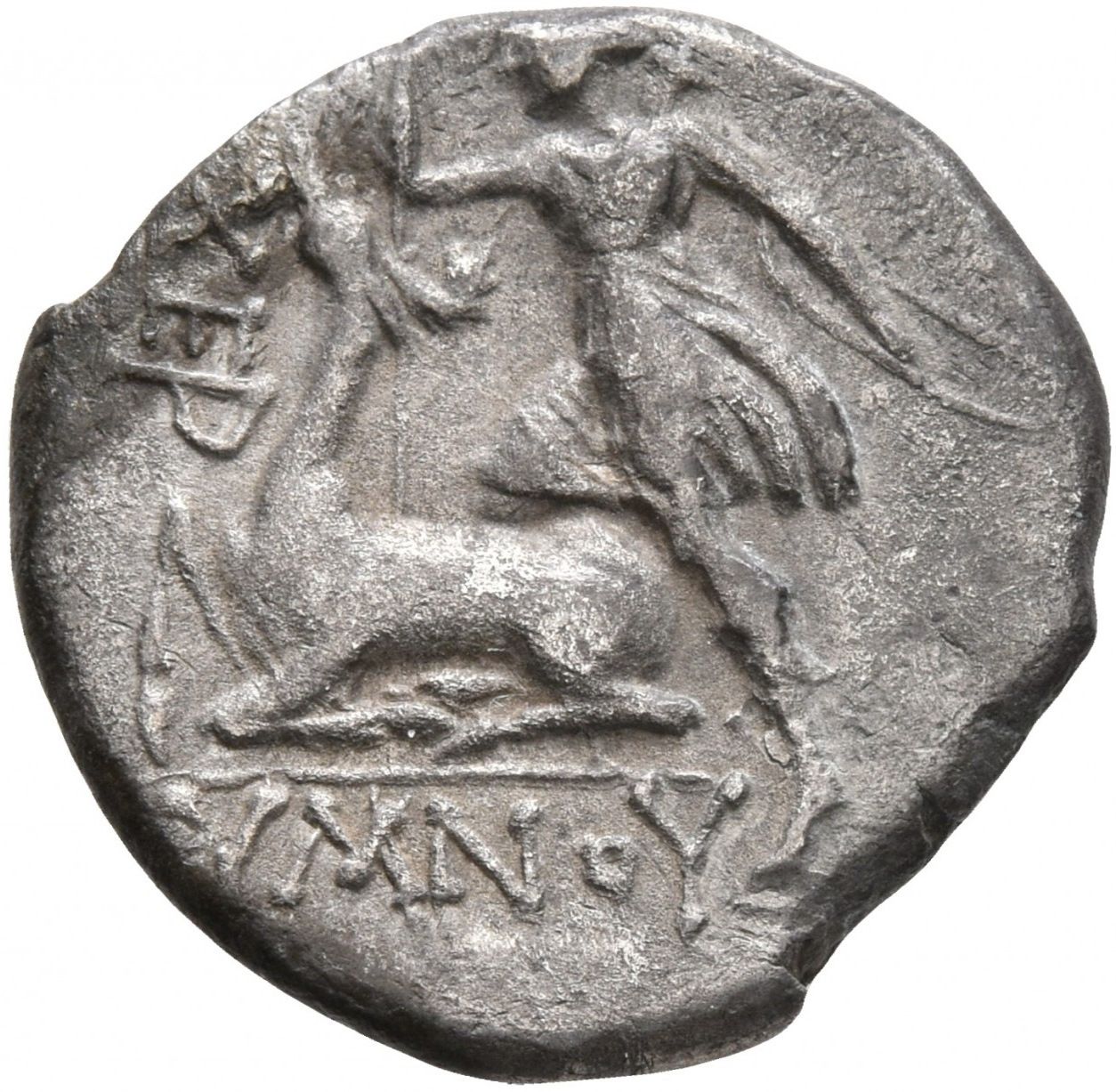 Coin reverse image