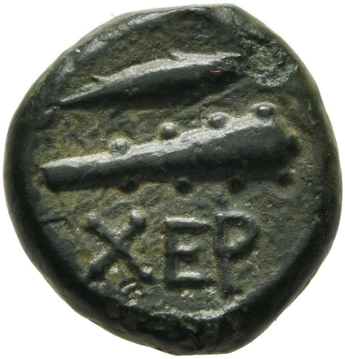 Coin reverse image
