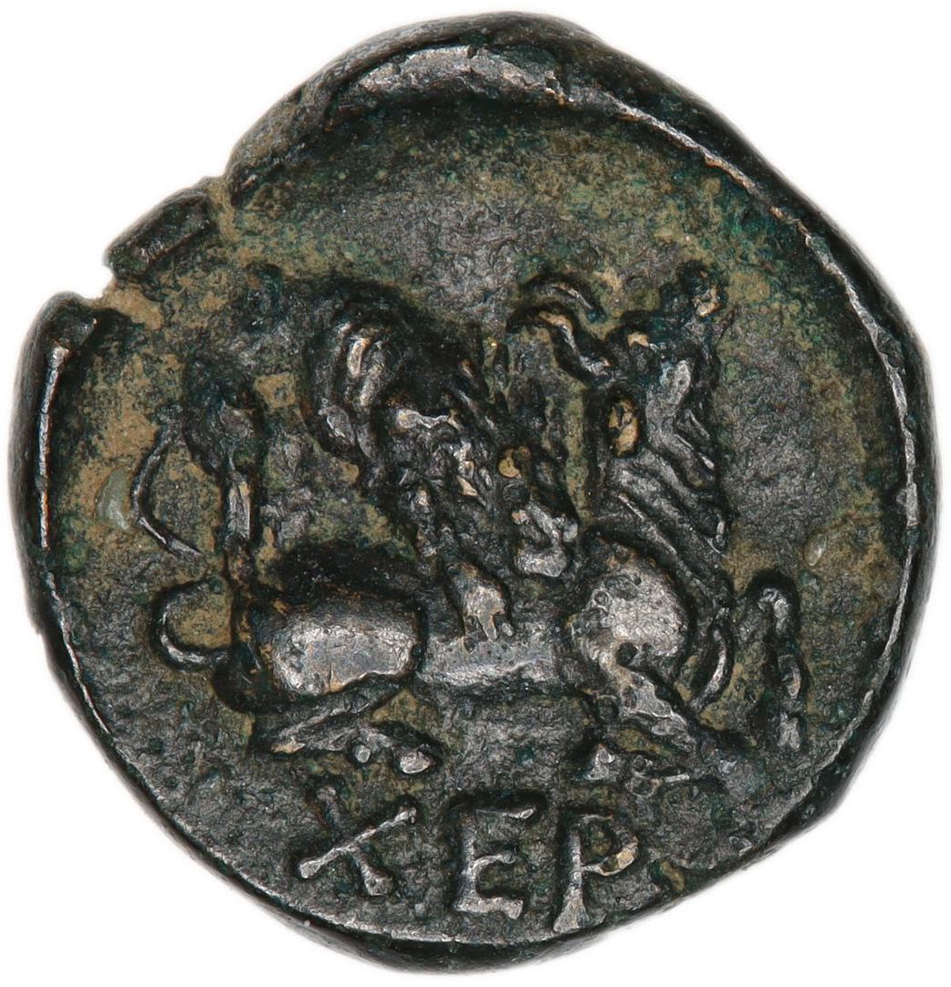 Coin reverse image