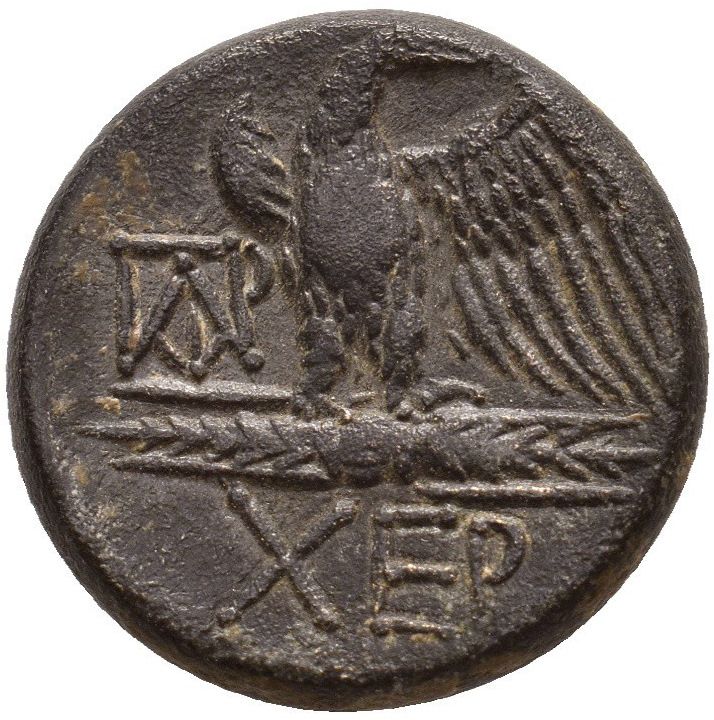 Coin reverse image