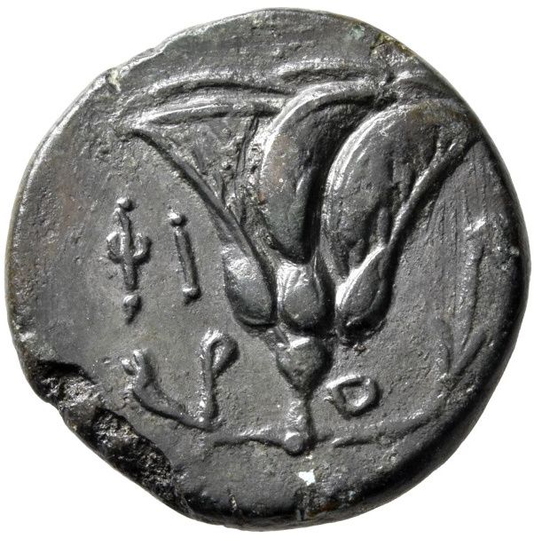 Coin reverse image