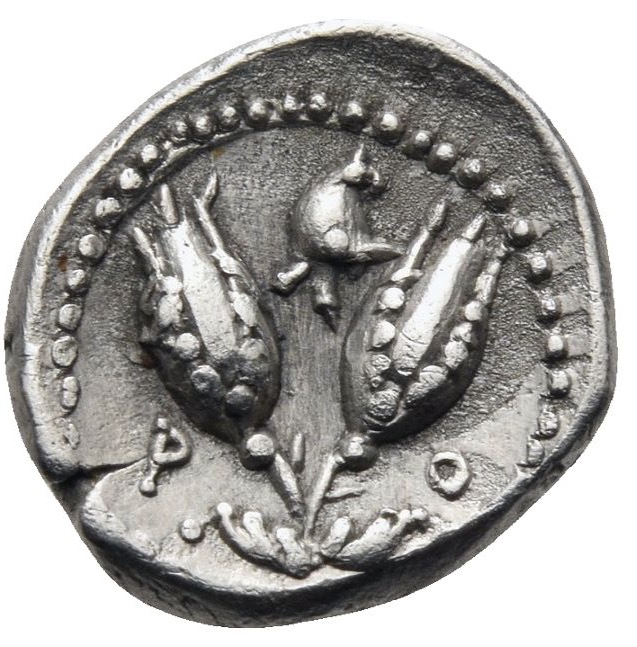 Coin reverse image