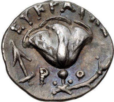 Coin reverse image
