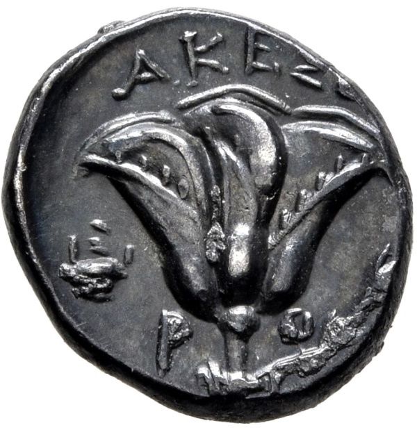 Coin reverse image